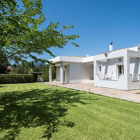 Villa Nefeli With Private Pool By Konnect Δασιά Εξωτερικό φωτογραφία