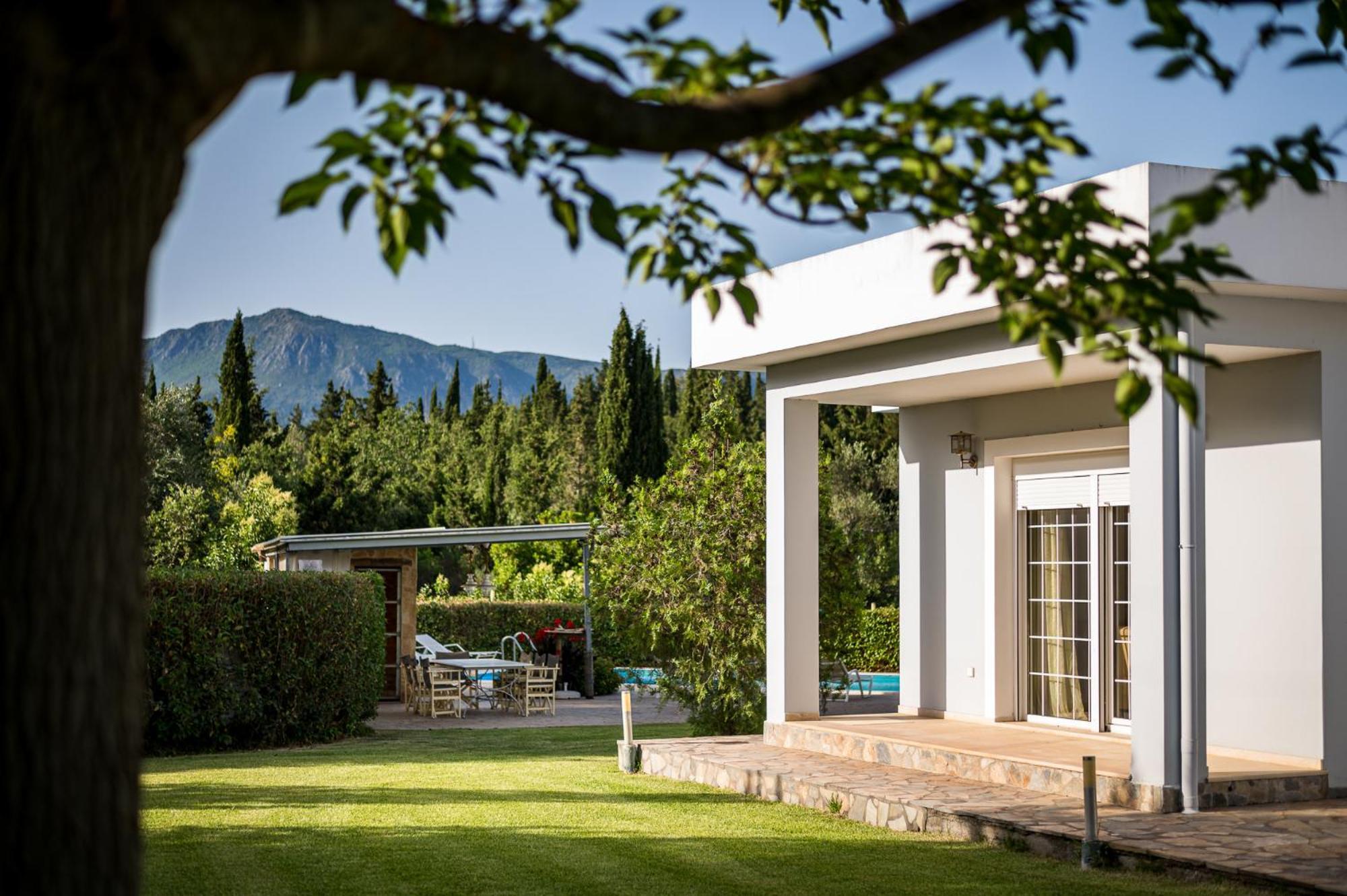 Villa Nefeli With Private Pool By Konnect Δασιά Εξωτερικό φωτογραφία
